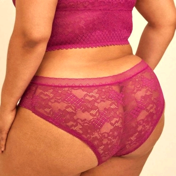 ❤️NWT VINTAGE TORRID PANTY - FLORAL LACE SEMI-SHEER HIPSTER - PLUS SIZE 5X - Picture 3 of 9